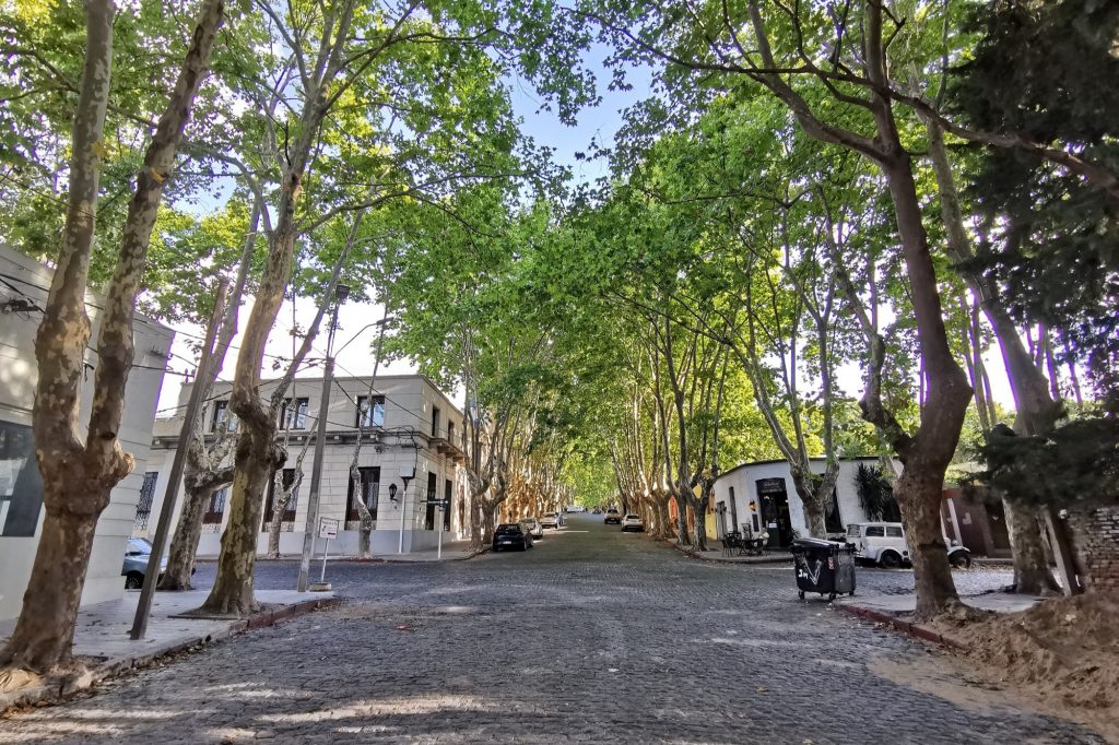 Schattige Allee in Colonia del Sacramento